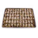 Baklava Dilim Saray Helva